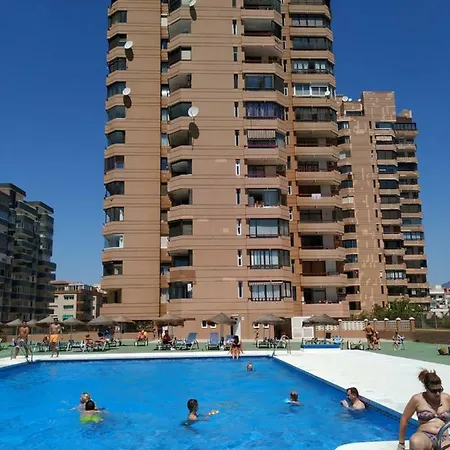Palmeras, 893