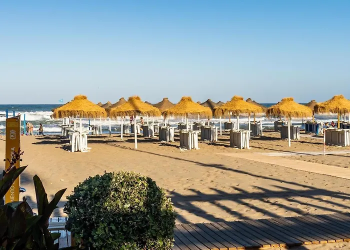 아파트 Palmeras, 893