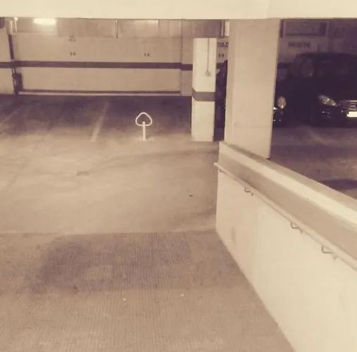 Palmeras, 893 * 푸엔히롤라