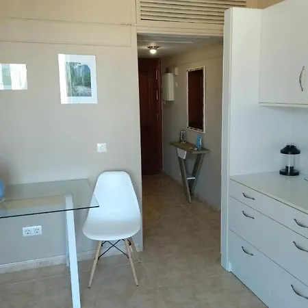 Palmeras, 893 *